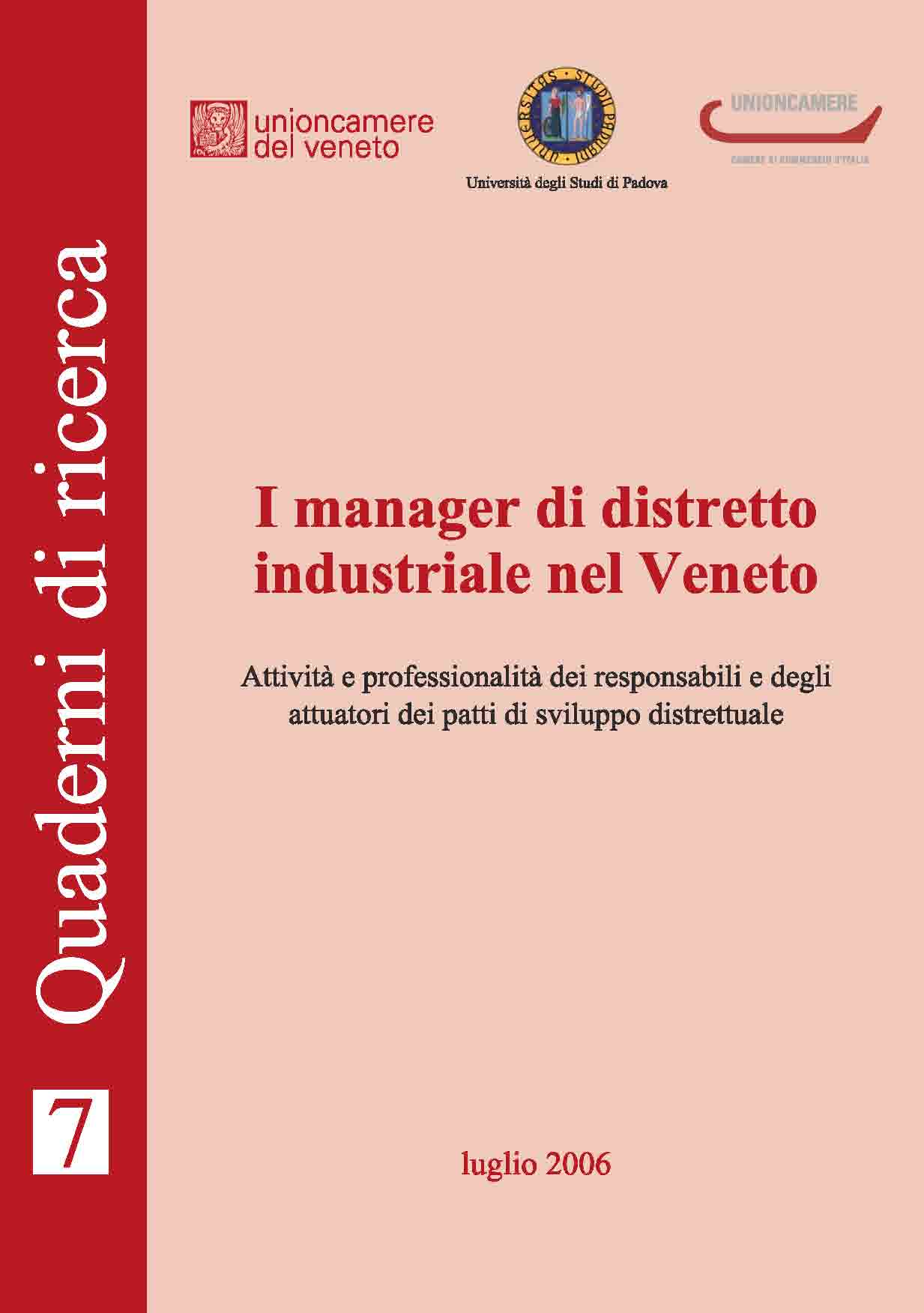 QdR 7 - I manager di distretto nel Veneto