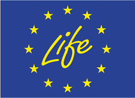 Logo programma Life